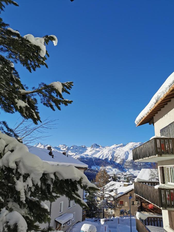 Ferienwohnung Pontresina - Chesa Andrea - Gartensitzplatz Exterior foto